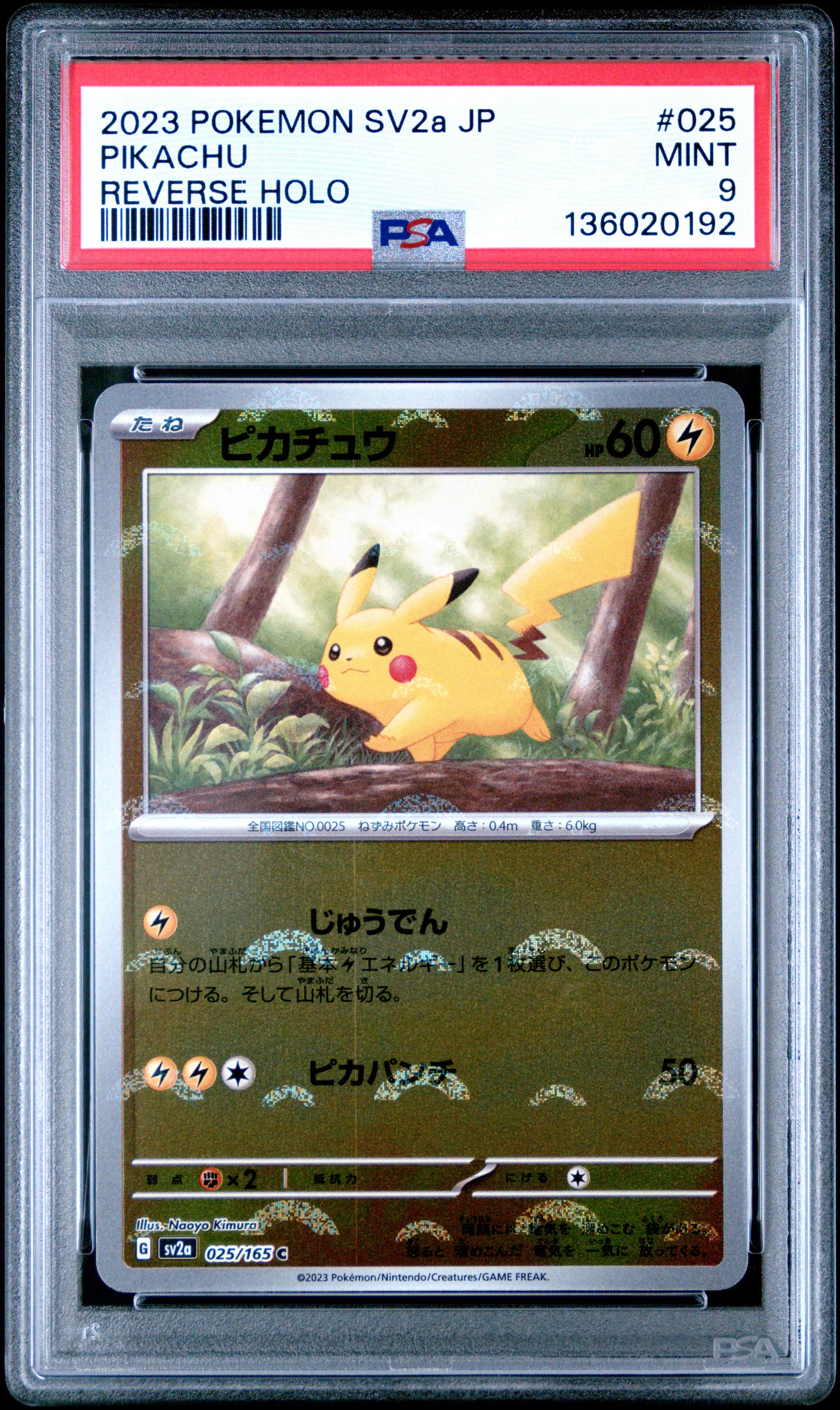 2023 #025 Pikachu Reverse Holo P